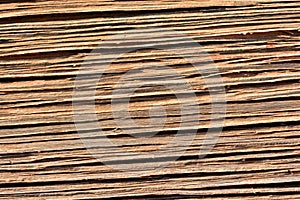 Detail of the grain of an old wooden boardd photo