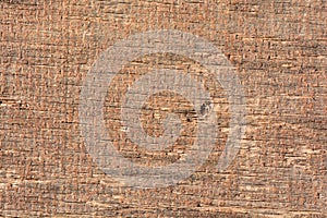 Detail of the grain of an old wooden boardd photo