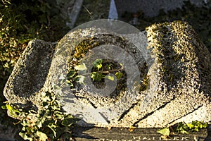 Detail of a grave in a cemetery in Croatia.