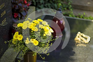 Detail in the grave with flowers in the cemetery in Croatia