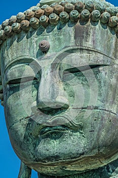 Detail of The Great Buddha (Daibutsu) of Kamakura, Japan