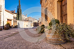 Detail of green vine plant in a wooden pot placed in the street of the medieval village of Pedraza.