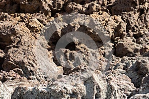 detail of grey textured volcanic rock