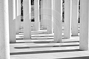 Columns and their shadows, black and white photo