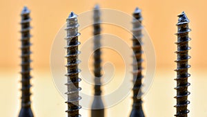 Detail of a group of self-tapping screws photo