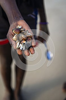 Detail of the hand of a cockles harvester in the beach in the island of Orango, Guinea Bissau