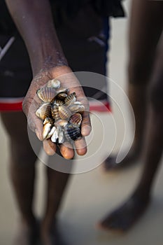 Detail of the hand of a cockles harvester in the beach in the island of Orango, Guinea Bissau