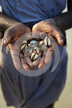 Detail of the hands of a cockles harvester in the beach in the island of Orango, Guinea Bissau