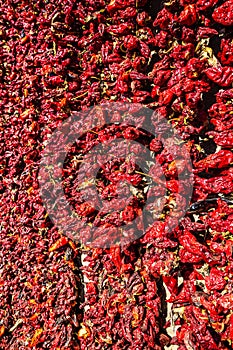 Detail Of Hanging Red Peppers In Donja Lokosnica, Leskovac, Serbia photo