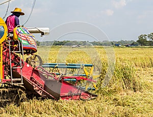 Detail of harvester machinery