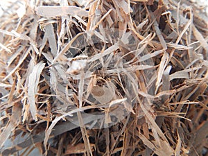 Detail of heap of dried lapacho tea photo