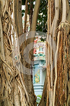 Detail of a Hindu temple at La Possession