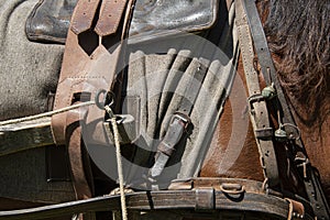 detail of a historic harness of a horse photo