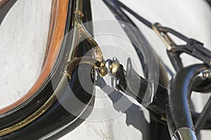 Detail of horse harness in Seville