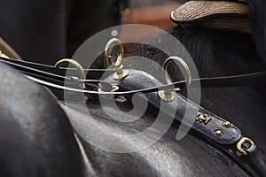 Detail of horse harness in Seville