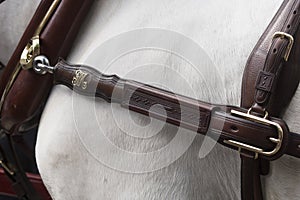 Detail of horse harness in Seville