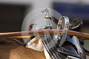 Detail of horse harness, terrets and saddle