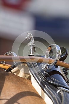 Detail of horse harness, terrets and saddle