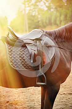 Detail of a horse saddle