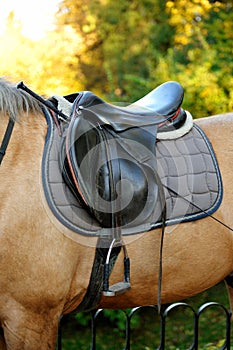 Detail of a horse saddle