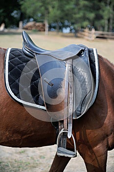 Detail of a horse saddle