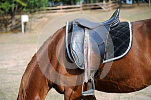 Detail of a horse saddle