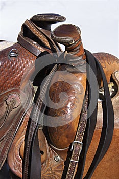 Detail of Horse Saddles