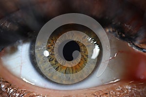 Detail of human eye with gray green iris