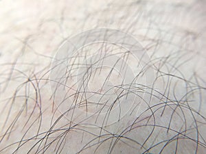 Detail of human skin with hair, close-up, macro.