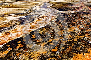 Abstract Mineral Deposits in Yellowstone photo