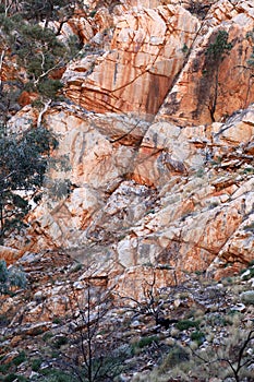 Detail image of Standley Chasm