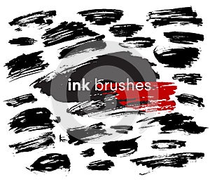 Detail ink brush paint stroke. Vector illustration