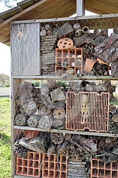 Detail Insect house in garden Hotel for insects