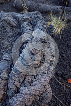 Detail of Lava cordata on the Etna-Sicily volcano