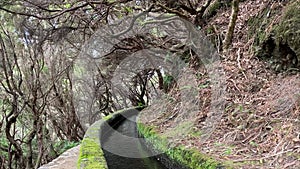 Detail of levada canal at Levada das 25 Fontes trail, Madeira