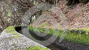 Detail of levada canal at Levada das 25 Fontes trail, Madeira