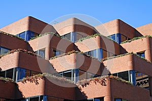 Detail of Levi Strauss & Co headquarter photo