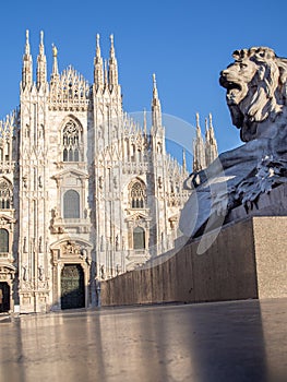 Detail of lion statue and Duomo di Milano Milan Cathedral