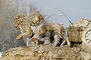 Detail of lions of Cibeles,Madrid,Spain