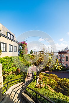 Detail of Lombard street in San Francisco