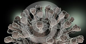 Detail magnification of a coronavirus