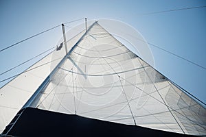Detail of main sail of sailing yacht