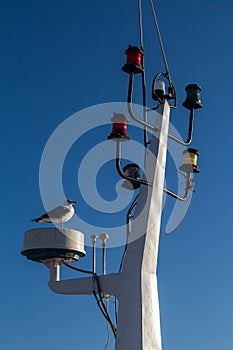 Detail of the mainmast and seagull