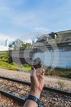 Detail of a male hand with a pine cone, in the background you can see the train tracks and houses, as well as the train station