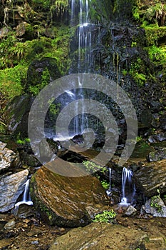 Detail of the Mallyan Spout Waterfall spilling over moss and rocks, Goathland