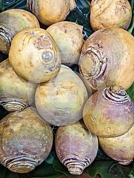 Detail of many Swedes Vegetables in Shop
