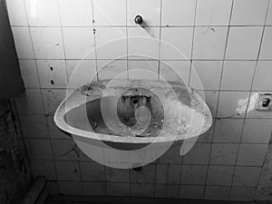 Detail from messy interior of abandoned building. Empty room with old dirty sink, cobweb and wall tiles