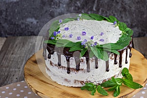 detail on a mint cake with mascarpone and chocolate decorated with mint leaves and flowers of speedwell