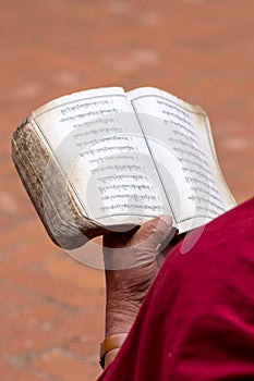 Detail of a Monk reading religious old book
