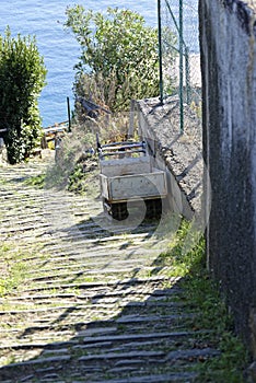 detail of motorized tracked barrow